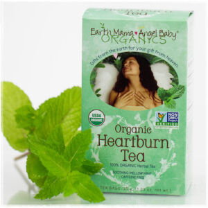 Earth Mama Organic Heartburn Tea one