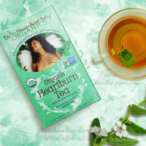 Earth Mama Organic Heartburn Tea