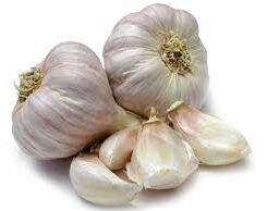 The benefits of Garlic