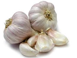 The benefits of Garlic