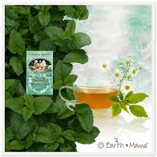 Earth Mama Organics - Stress Less Tea